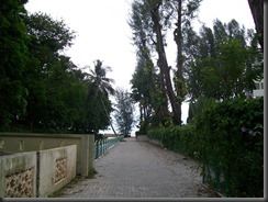 100_1355 100_1355