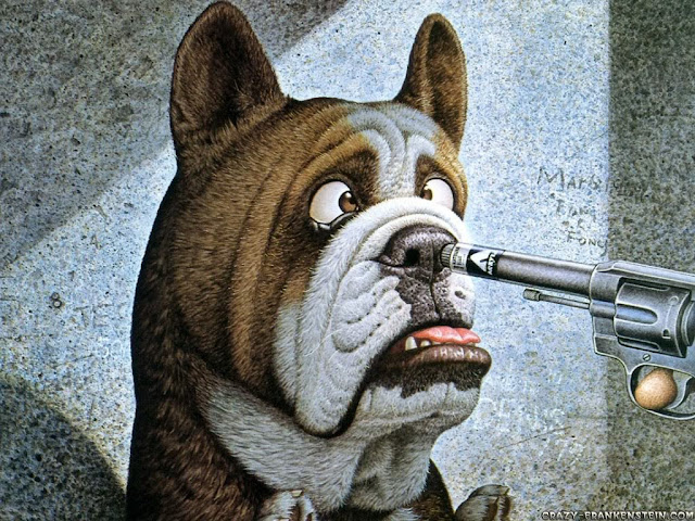 Funny Dog Wallpaper