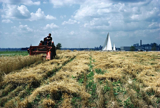 Campo de trigo en Nueva York - 1982