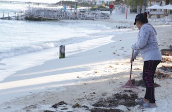 Conserva Ayuntamiento playas libres de sargazo en Isla Mujeres