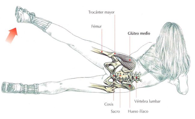 Ejecución de las abducciones de cadera acostado, ejercicio para el gluteo medio | Rane Forti