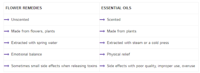 The Difference Between Flower Remedies and Essential Oils: What You Want to Know