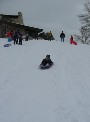 Joy Sleds Down the Hill