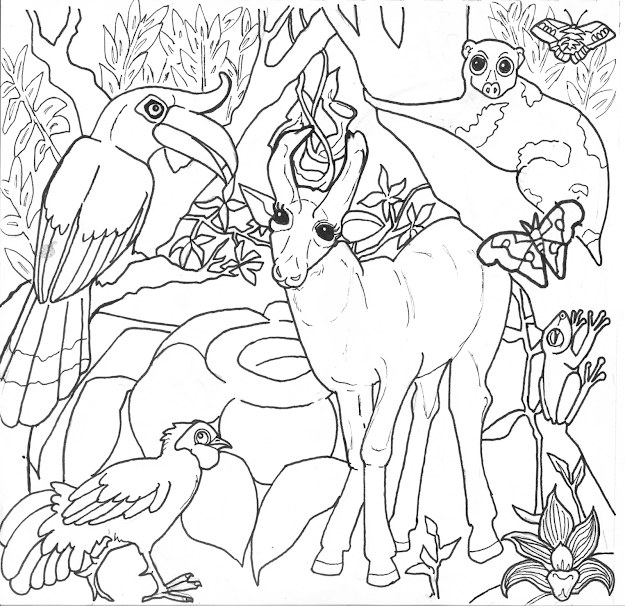 Rainforest Coloring Pages With Rain Forest Animals Coloring Pages Jungle