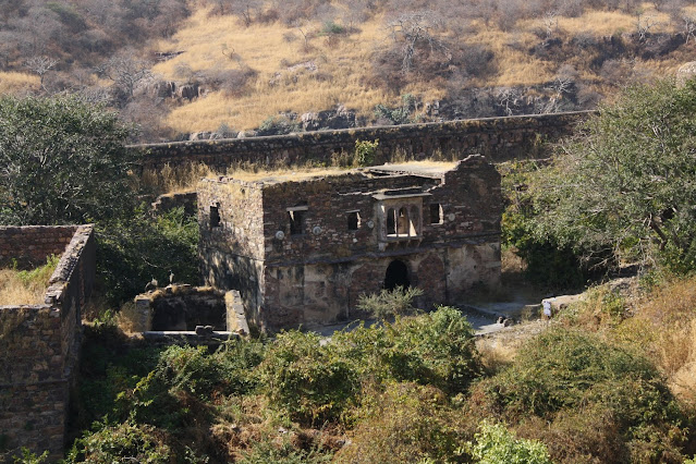 Ranthambore Fort