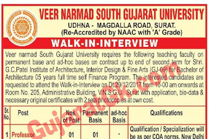 VNSGU Walk-in-Interview for Professor Posts 2017