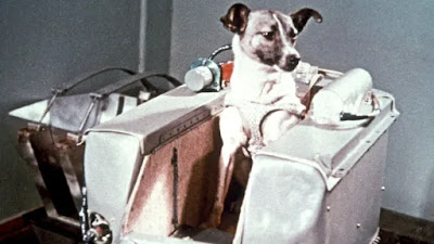 Laika, la verdadera historia del primer animal enviado al espacio