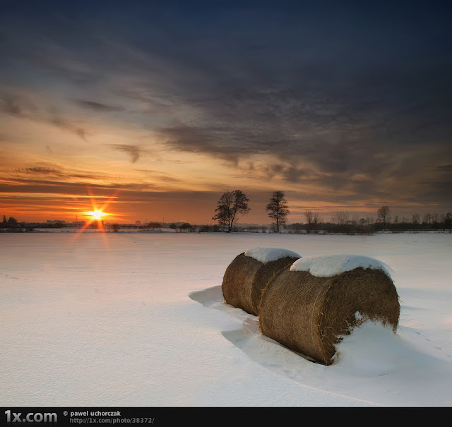 Photos Snow Ice Photography