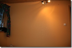 IMG_0731