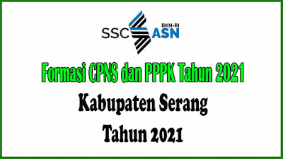 RINCIAN PENETAPAN KEBUTUHAN APARATUR SIPIL NEGERA DI LINGKUNGAN PEMERINTAH KABUPATEN  TAHUN ANGGARAN 2021