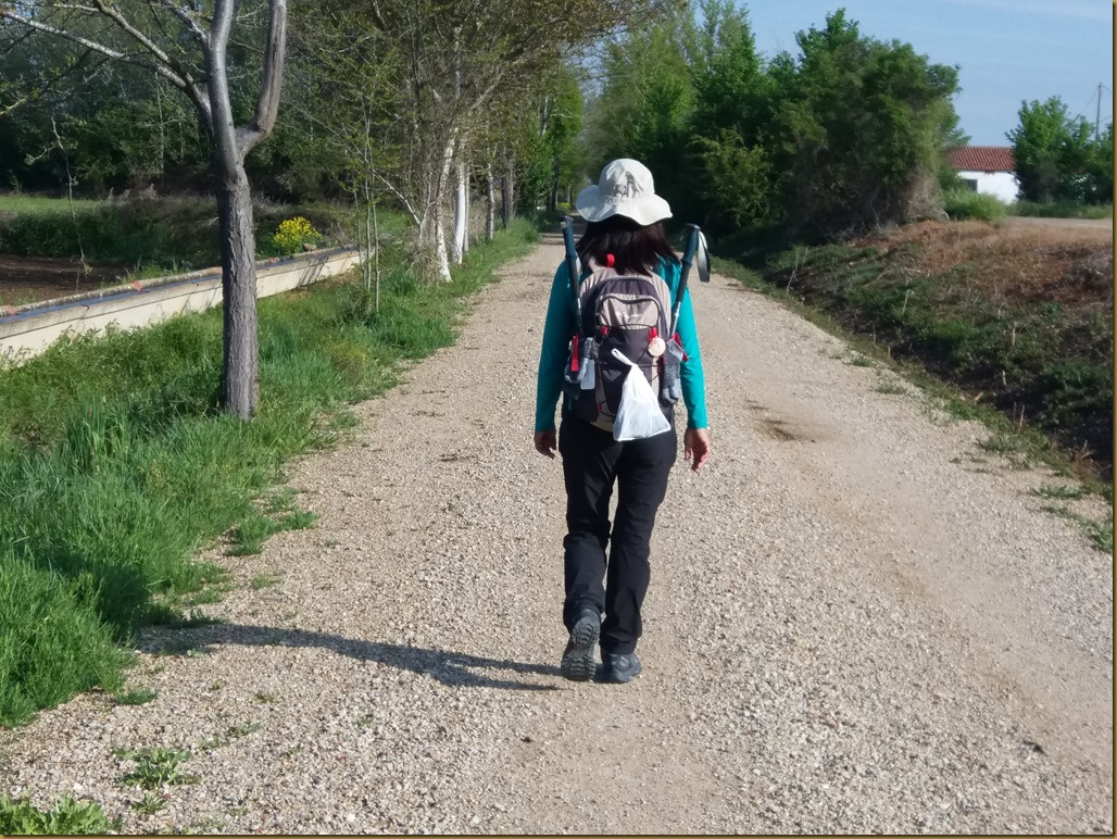 20180509_094818(0) Mansilla de las Mulas
