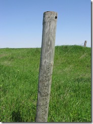 GeoCache 002