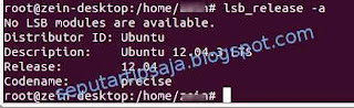 cara mengetahui versi ubuntu di terminal command