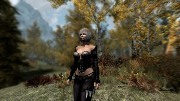 Custom armor for The Elder Scrolls V Skyrim