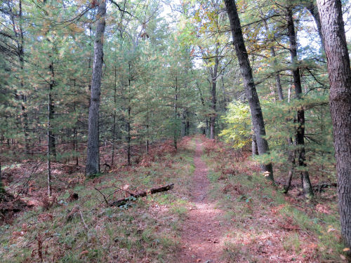 North Country Trail