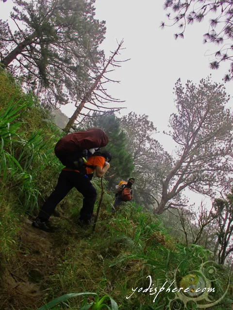 Steep portion of the Akiki Trail. A mountaineer trekking the Akiki trail 