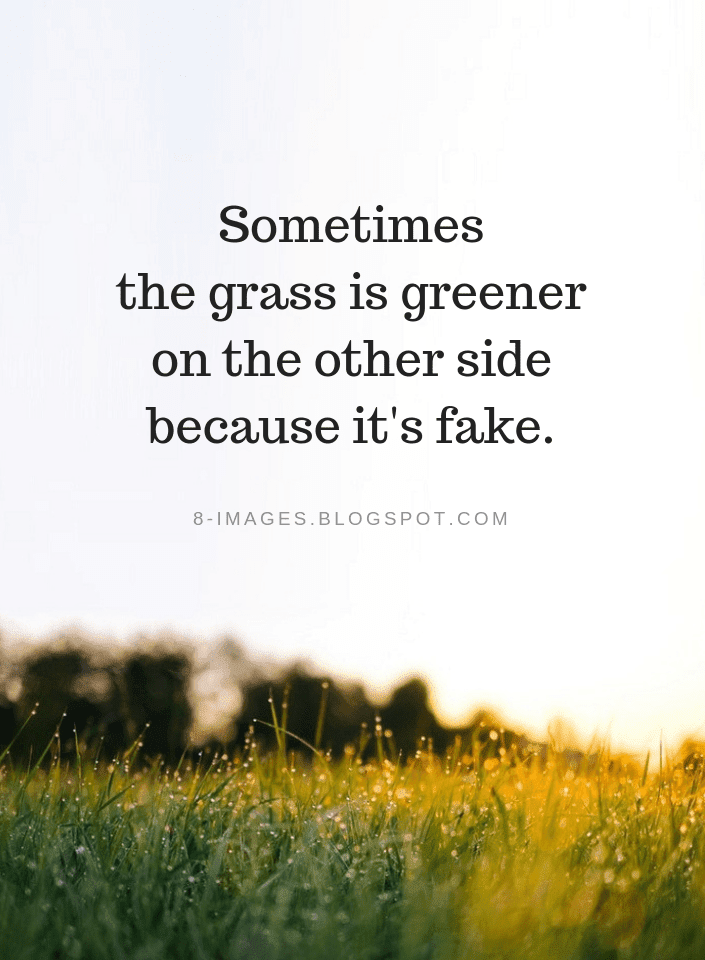 Sometimes The Grass Is Greener On The Other Side Because It S Fake
