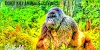 How to save animals (protect the environment)