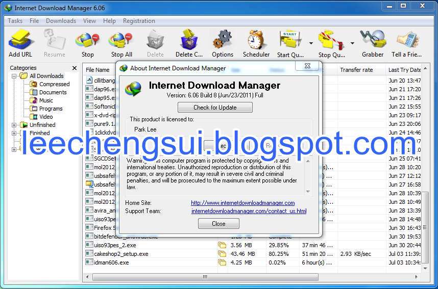 IDM (Internet Download Manager) 6.06 Build 8 + Serial Number