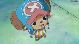 ワンピースアニメ 魚人島編 570話 チョッパー かわいい Tony Tony Chopper | ONE PIECE Episode 570