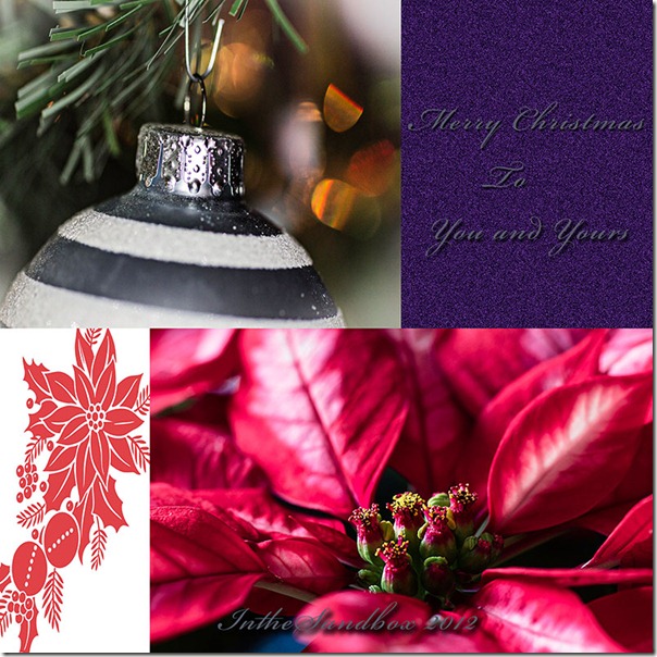 Christmas Wish 2012