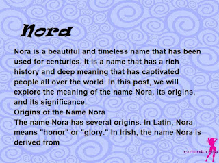 meaning of the name "Nora"