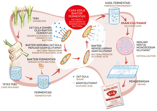 Naqiyyah Blog PEMBUATAN MONOSODIUM GLUTAMAT MSG DENGAN 