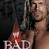 WWE Bad Blood 2004 Review