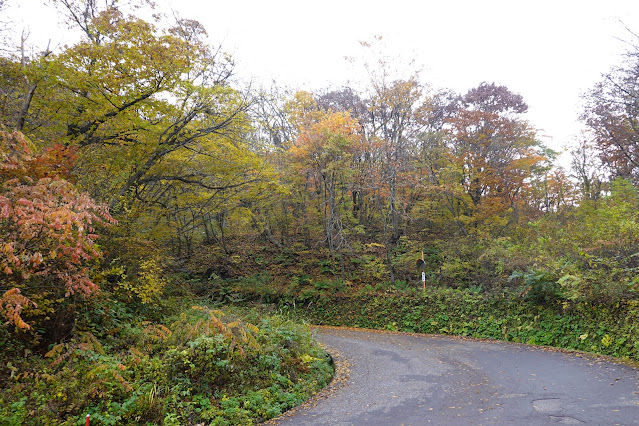 鳥取県道45号倉吉江府溝口線（大山環状道路）