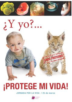 protege mi vida