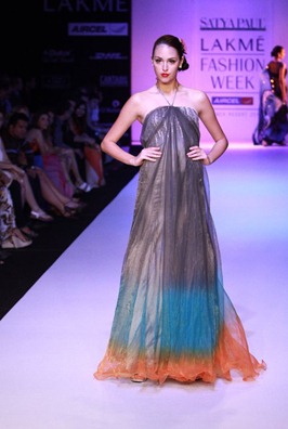 Day5 at LFS summer-resort 2011 by Satya Paul (2)