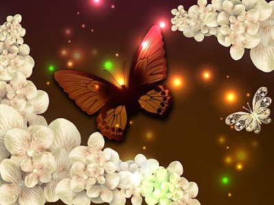 BUTTERFLY HD WALLPAPER 10