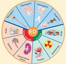 Causes of Erectile Dysfunction