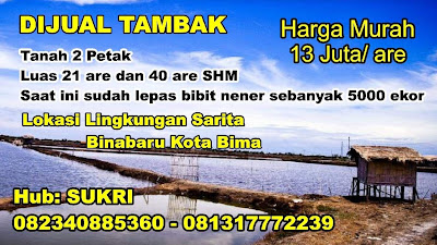 <b>DIJUAL TAMBAK, LOKASI SARATA KOTA BIMA</b>