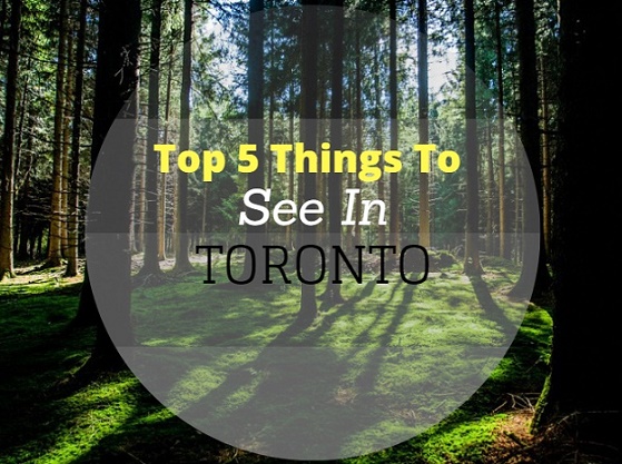 Top 5 Things to See in Toronto, Canada