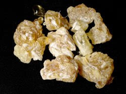 Frankincense the Medicinal Herb