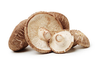 Shitake mushroom
