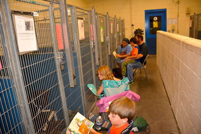 People Skipped The Fireworks On July 4th To Comfort Frightened Shelter Dogs