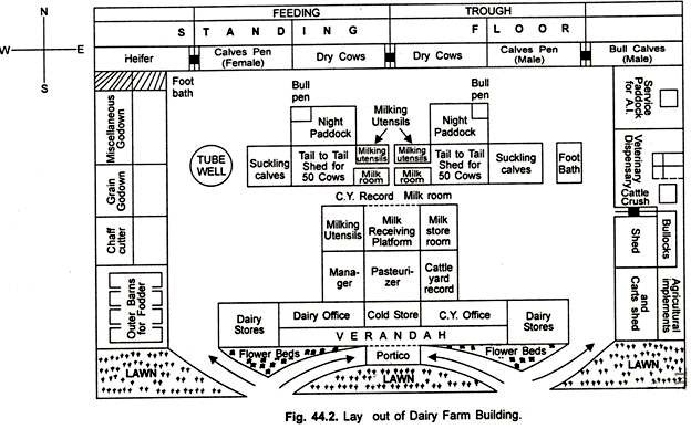 Morden Dairy Farming