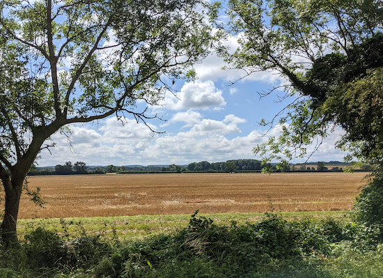 The view south from the stone bench on Pirton bridleway 21