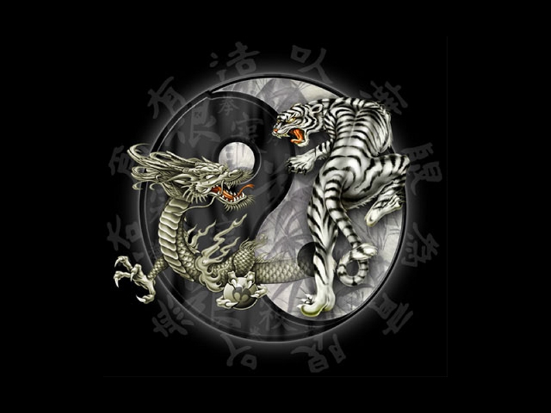 dragon tiger tattoo. dragon and tiger tattoos.