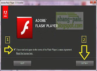update flash player