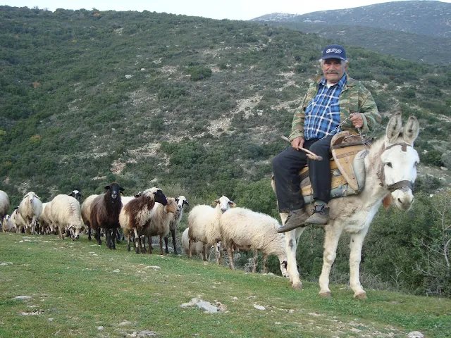 Νέο πακέτο πληρωμών του ΟΠΕΚΕΠΕ μετά την Πρωτομαγιά 