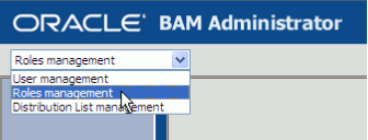 Role Management in BAM