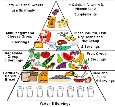 food pyramid for children. Most advance food pyramid,