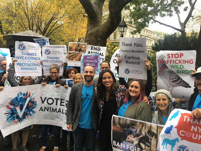 votersforanimalrights