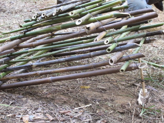 Snares and Traps for Survival Trapping