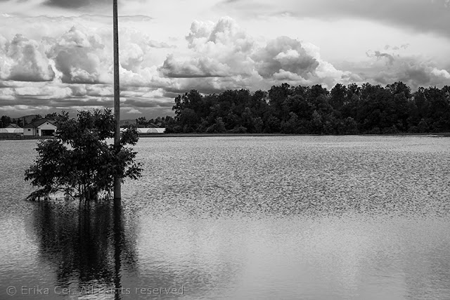 Bijeljina alluvione Bosnia