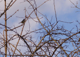 The time between winter and spring in Norfolk