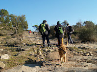 Camí pedregós enmig del Bosc de la Cortada